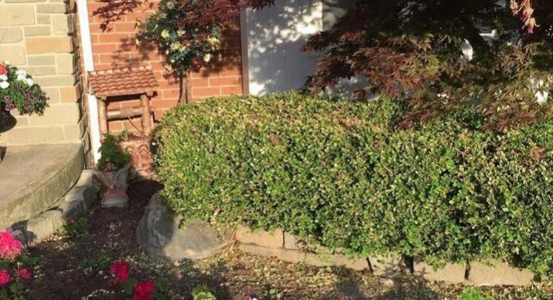 Cobblestone Bed And Breakfast Niagara-on-the-Lake Exterior foto